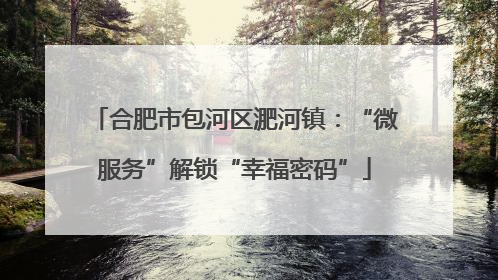 合肥市包河区淝河镇：“微服务”解锁“幸福密码”